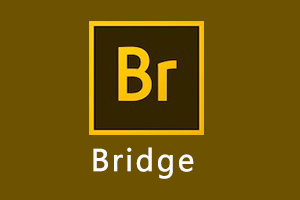 Bridge中文直装版_绿色版_破解版Br cs6/2017/2018/2019/2020/2021/2022/2023