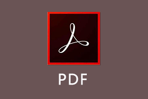 Acrobat Pro DC -中文直装版_绿色版_破解版—最佳的PDF编辑及阅读软件