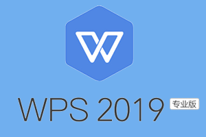 WPS Office 2019 v11.8.2.11978 专业增强版（内置序列号激活）